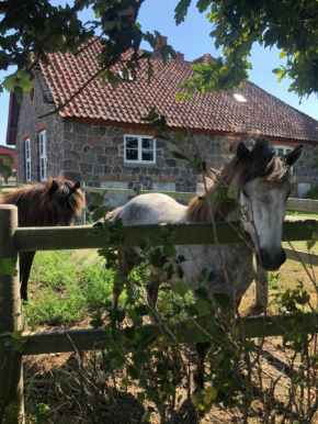 Stenhuset - Country House